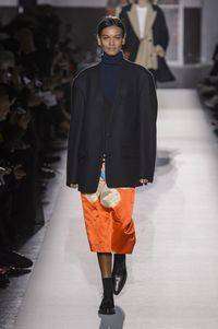 Dries van noten