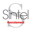 sintel-recrutement