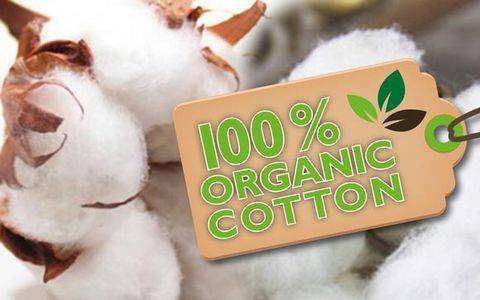 organic-cotton-bio-
